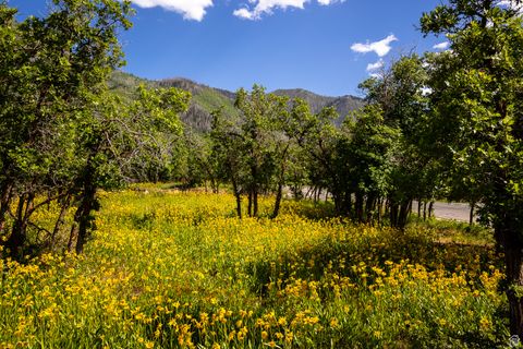 Tiny photo for 963 S SUMMIT DR #62, Woodland Hills, UT 84653 (MLS # 2091786)