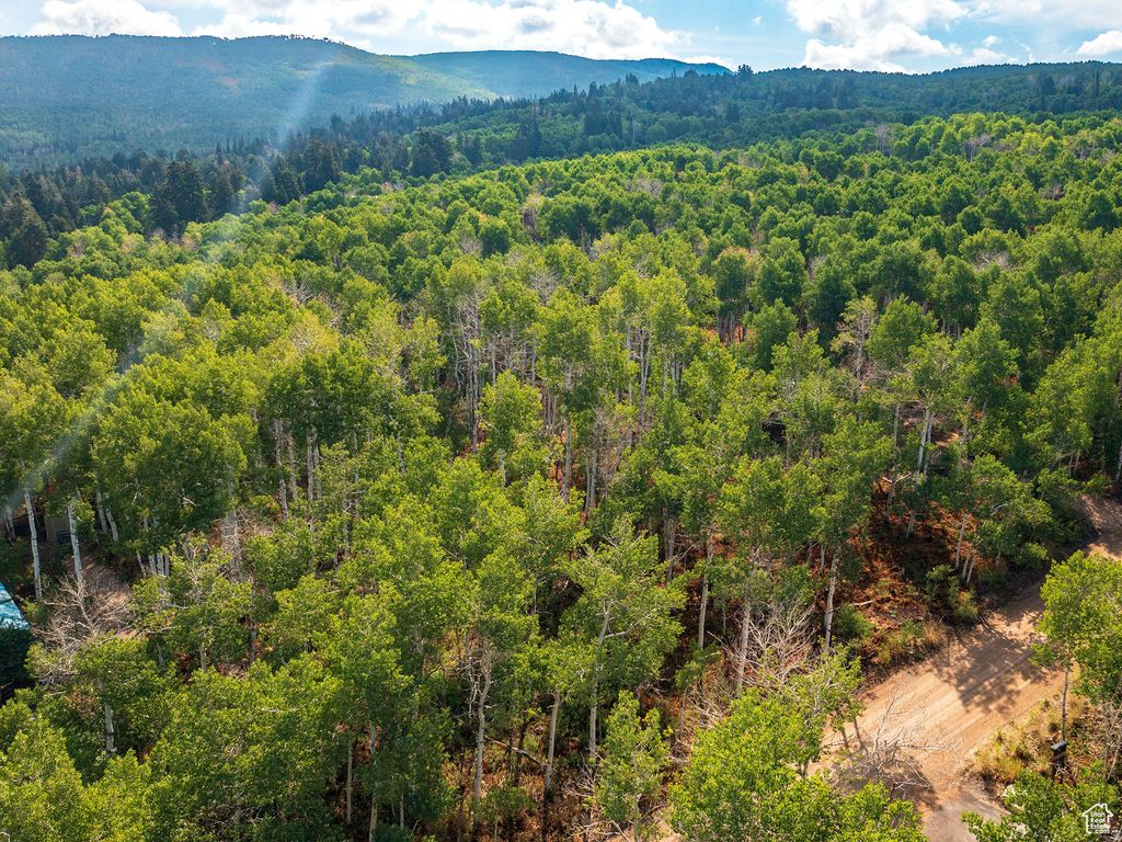 Photo of 2919 S GREEN BRIAR WAY #543, Heber City, UT 84032 (MLS # 2153513)