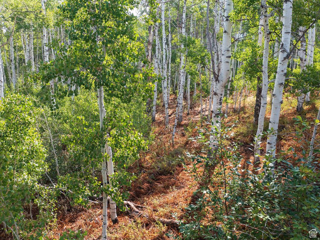 Photo of 2919 S GREEN BRIAR WAY #543, Heber City, UT 84032 (MLS # 2153513)