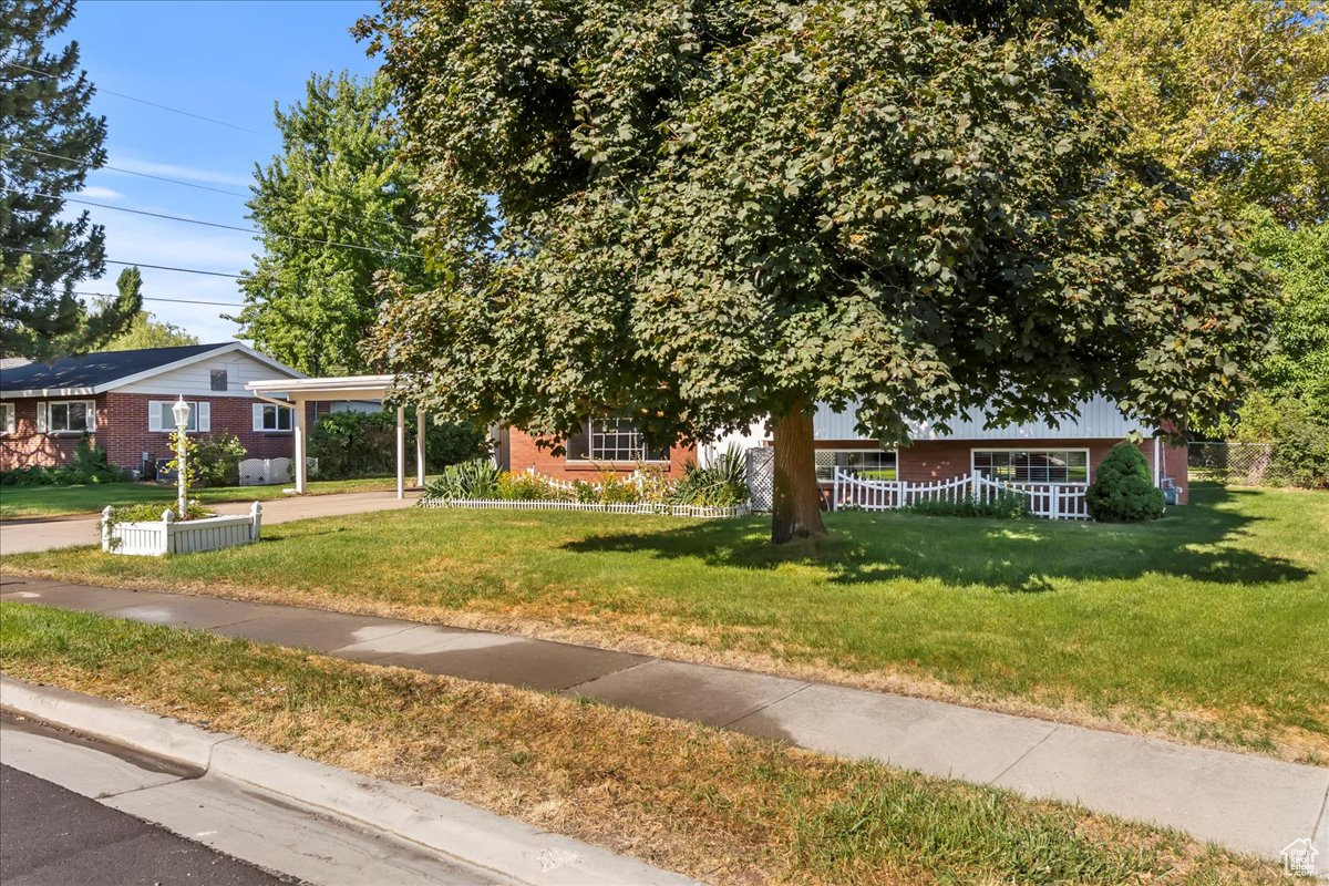CAROLE - Residential