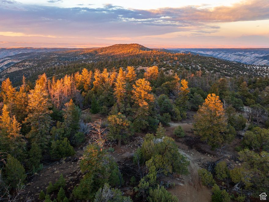 Private hunting grounds. This 352 acre parcel is extremely private and secluded, behind locked gates. You'll find bear, lions, deer and elk all on this property. Seasonal 4x4 access, no utilities. Approx 30 minutes SW of Duchesne, at the top of lake canyon. Near Buck Knoll, elevation approx. 8000'.