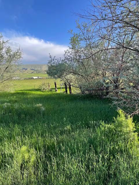 Tiny photo for 616 S BENNION LN W, Manila, UT 84046 (MLS # 2158646)