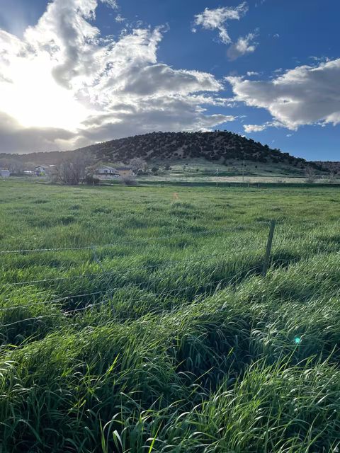 Tiny photo for 616 S BENNION LN W, Manila, UT 84046 (MLS # 2158646)