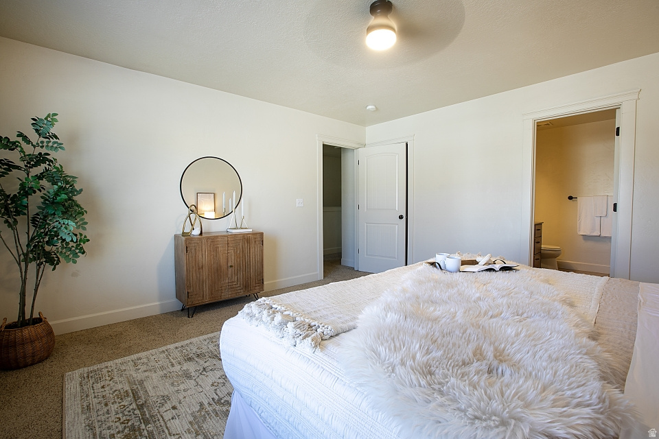 THE COVE - Residential