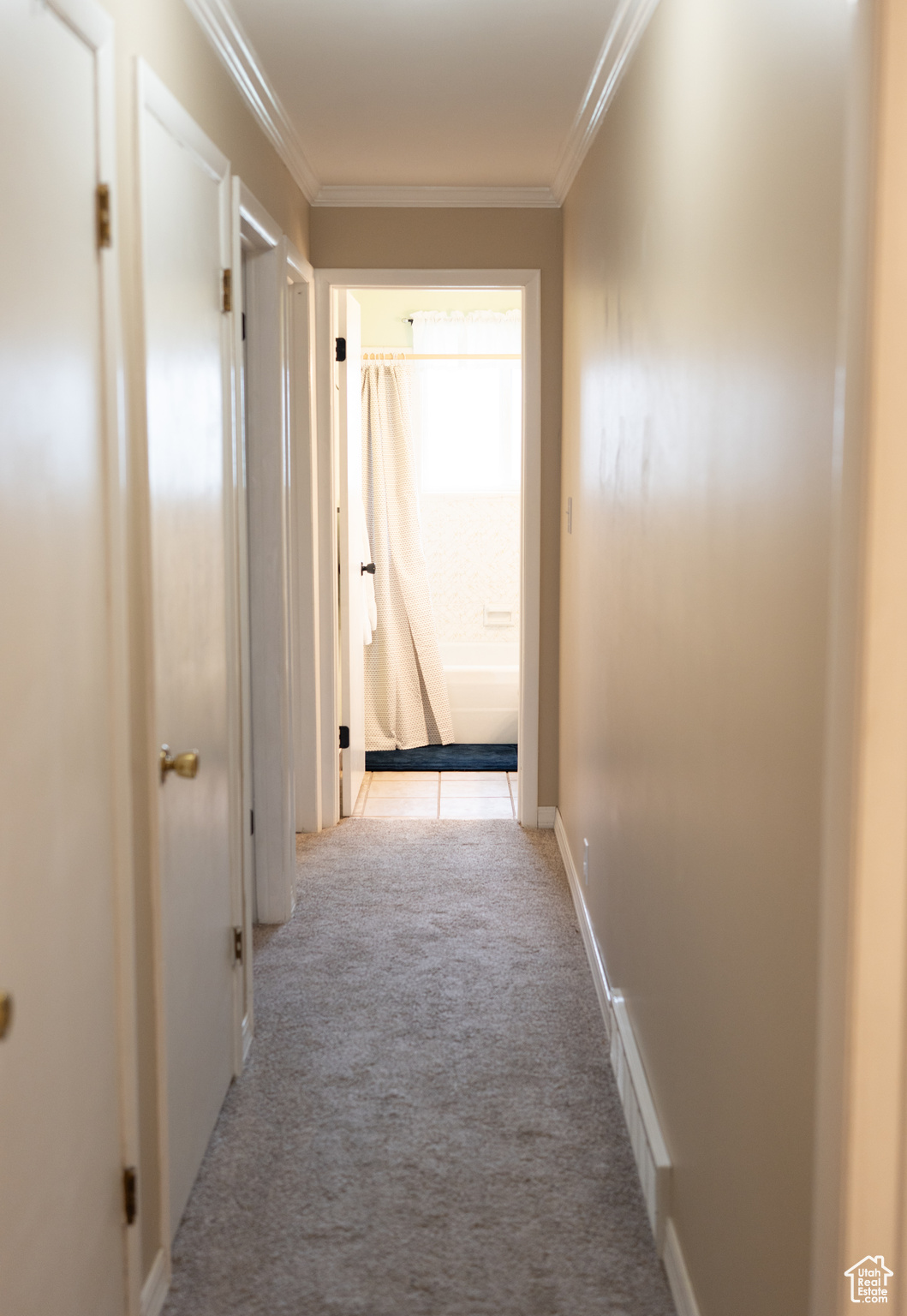 235 S Palisade Dr, Orem, Utah image 40