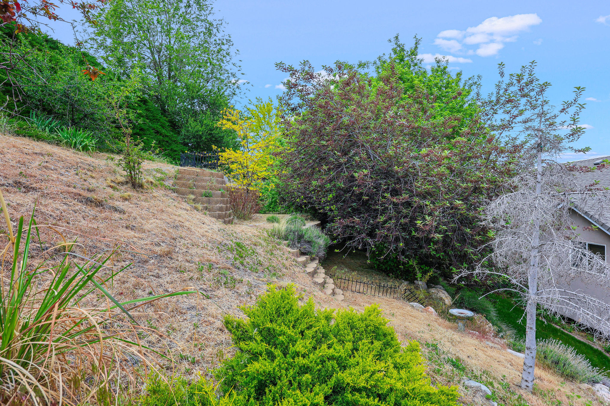 CANYON VIEW ESTATES - Residential