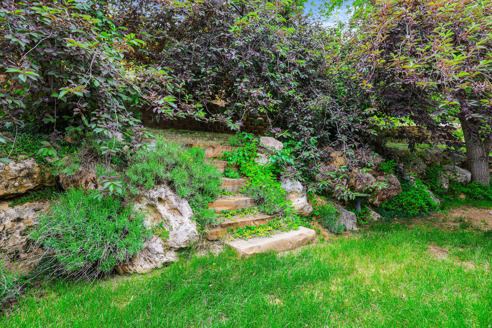 CANYON VIEW ESTATES - Residential