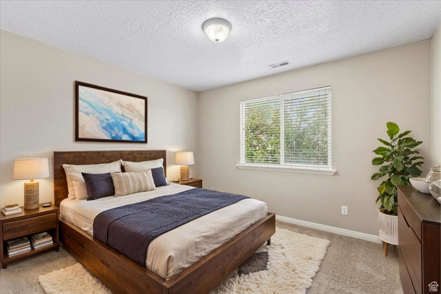 WILLOW SPRINGS - Residential