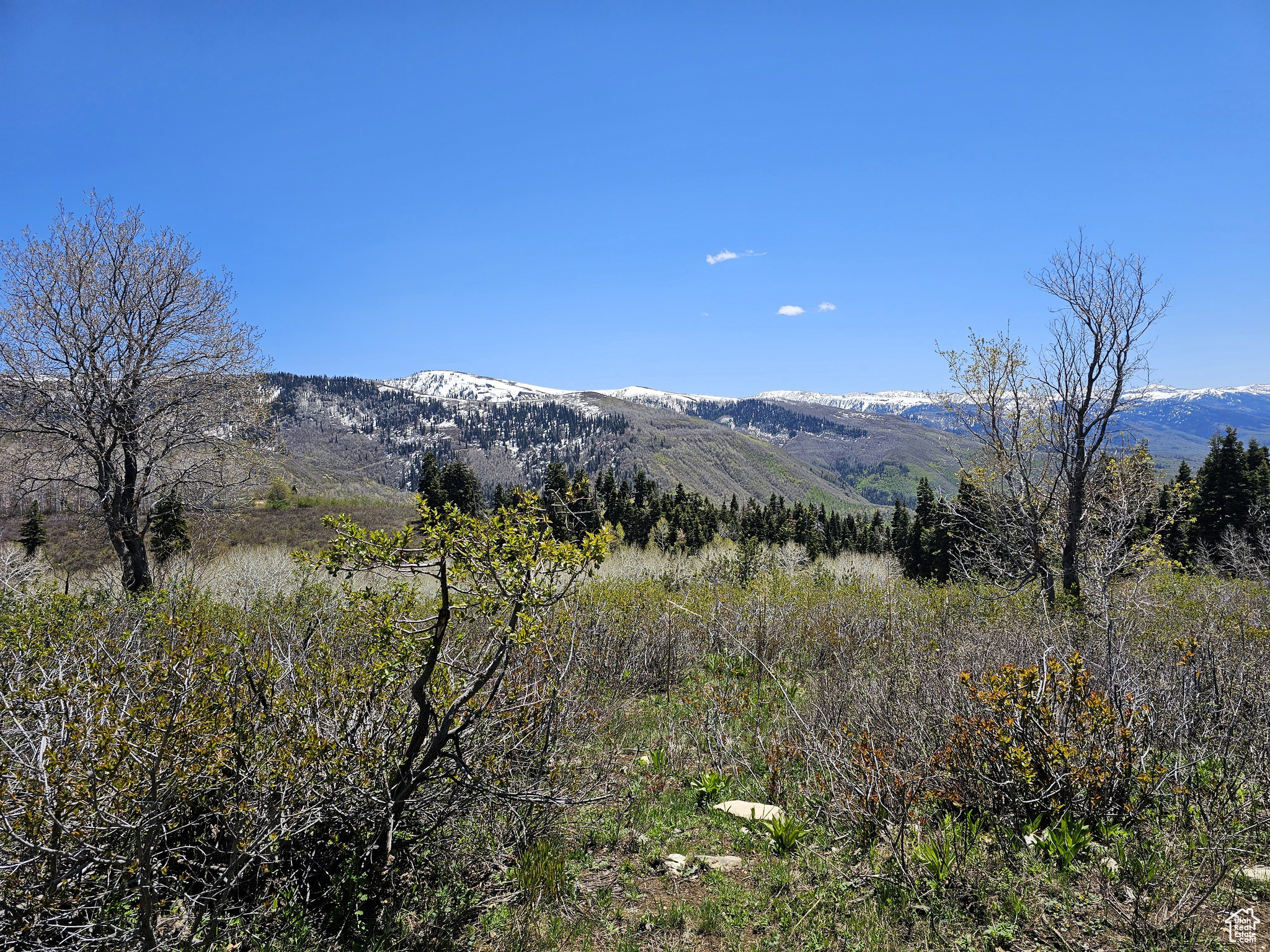 58 Thads Peak Dr #J58, Fairview, Utah image 5