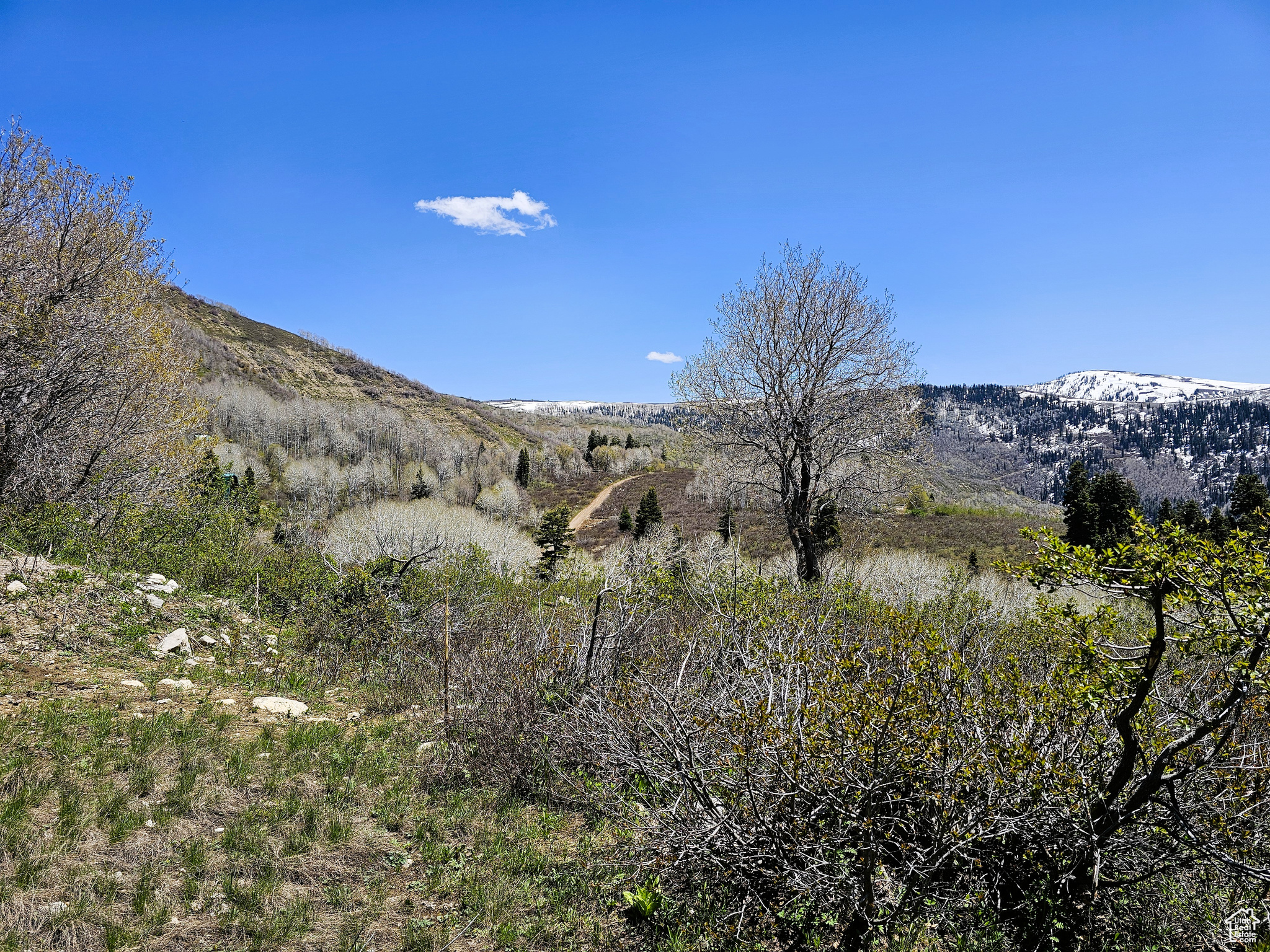 58 Thads Peak Dr #J58, Fairview, Utah image 6