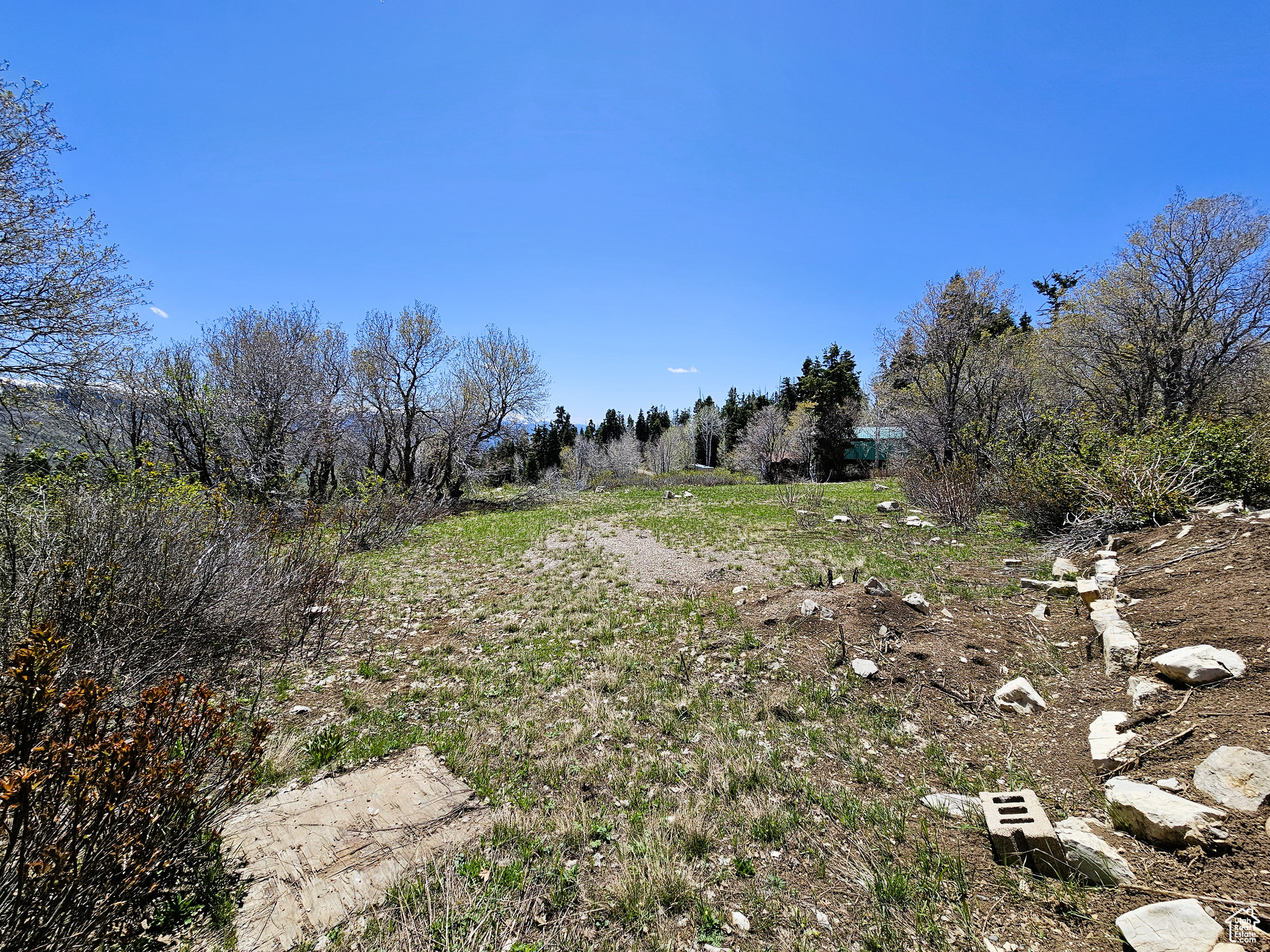 58 Thads Peak Dr #J58, Fairview, Utah image 8