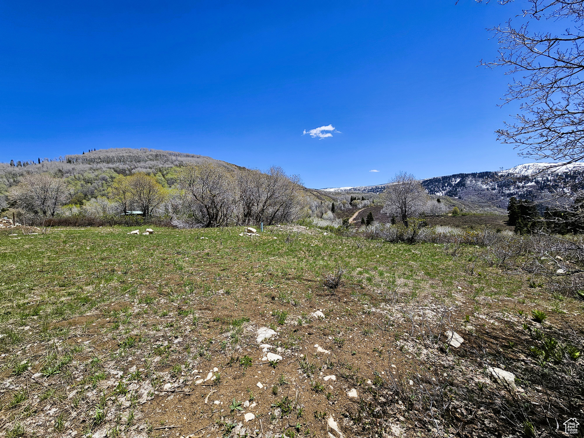 58 Thads Peak Dr #J58, Fairview, Utah image 2