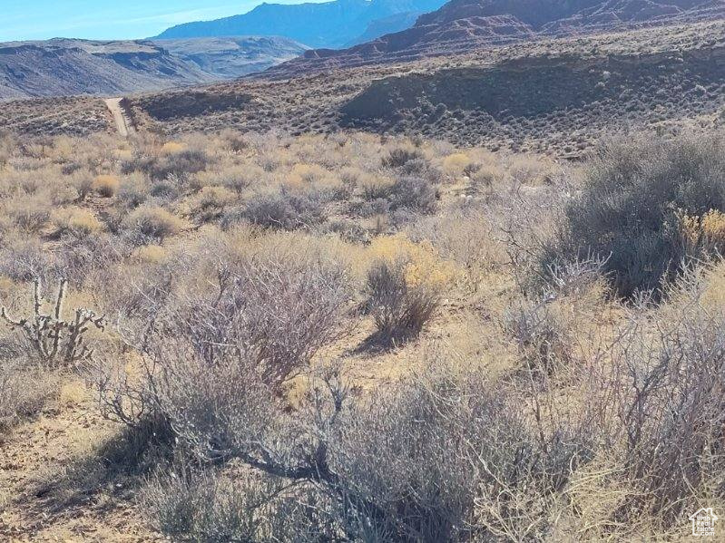 Land, Virgin, Utah image 2