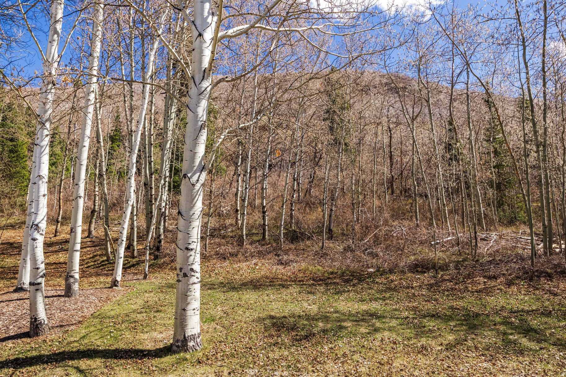 QUEEN ESTHER VILLAGE - Residential