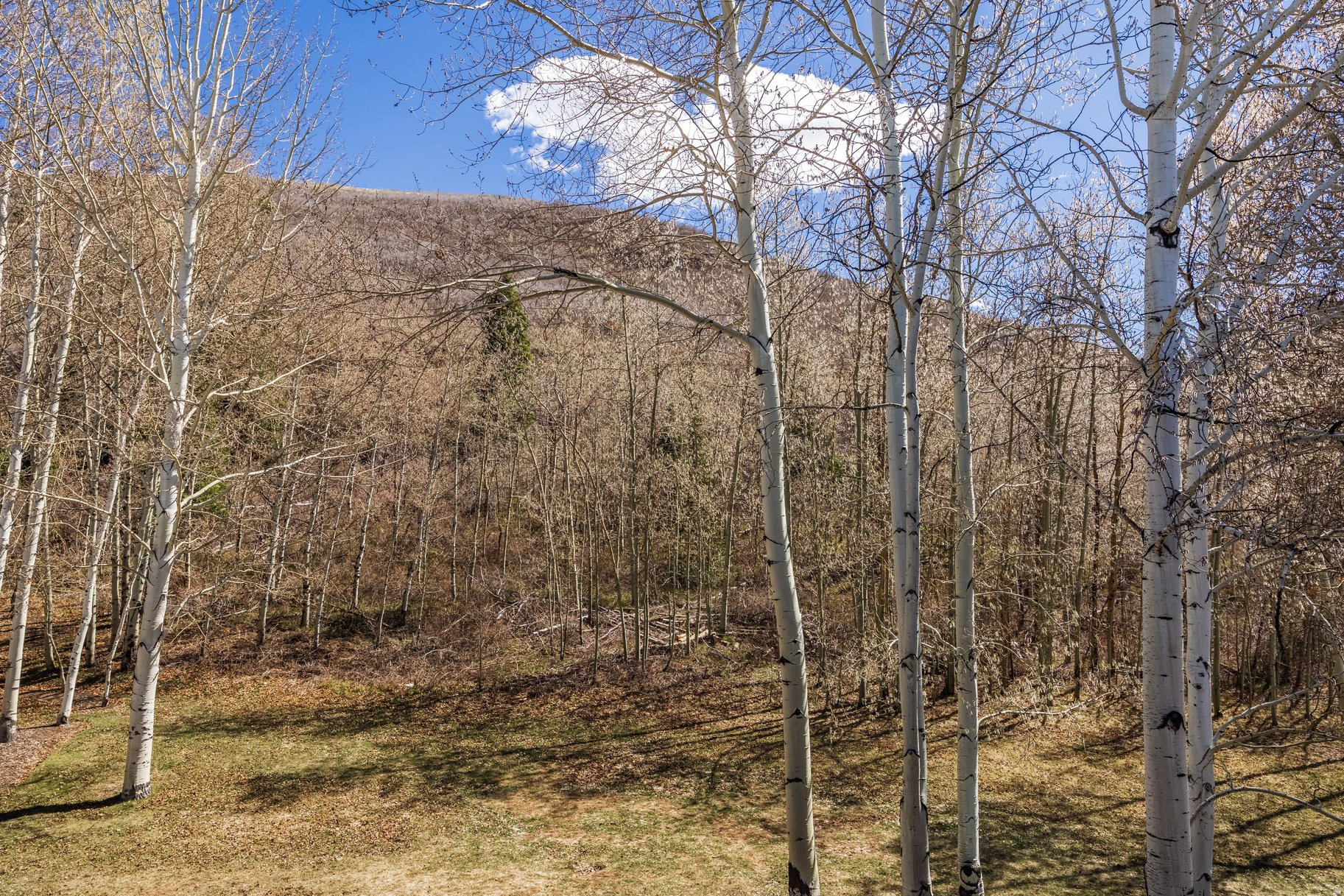 QUEEN ESTHER VILLAGE - Residential