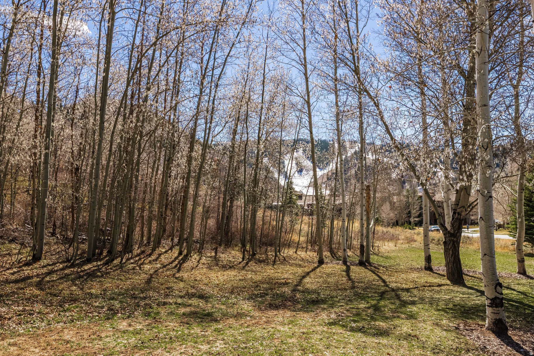 QUEEN ESTHER VILLAGE - Residential