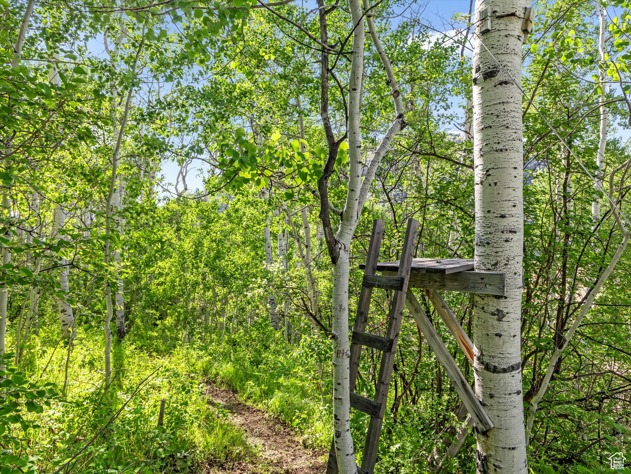 SOUTH FORK - Residential