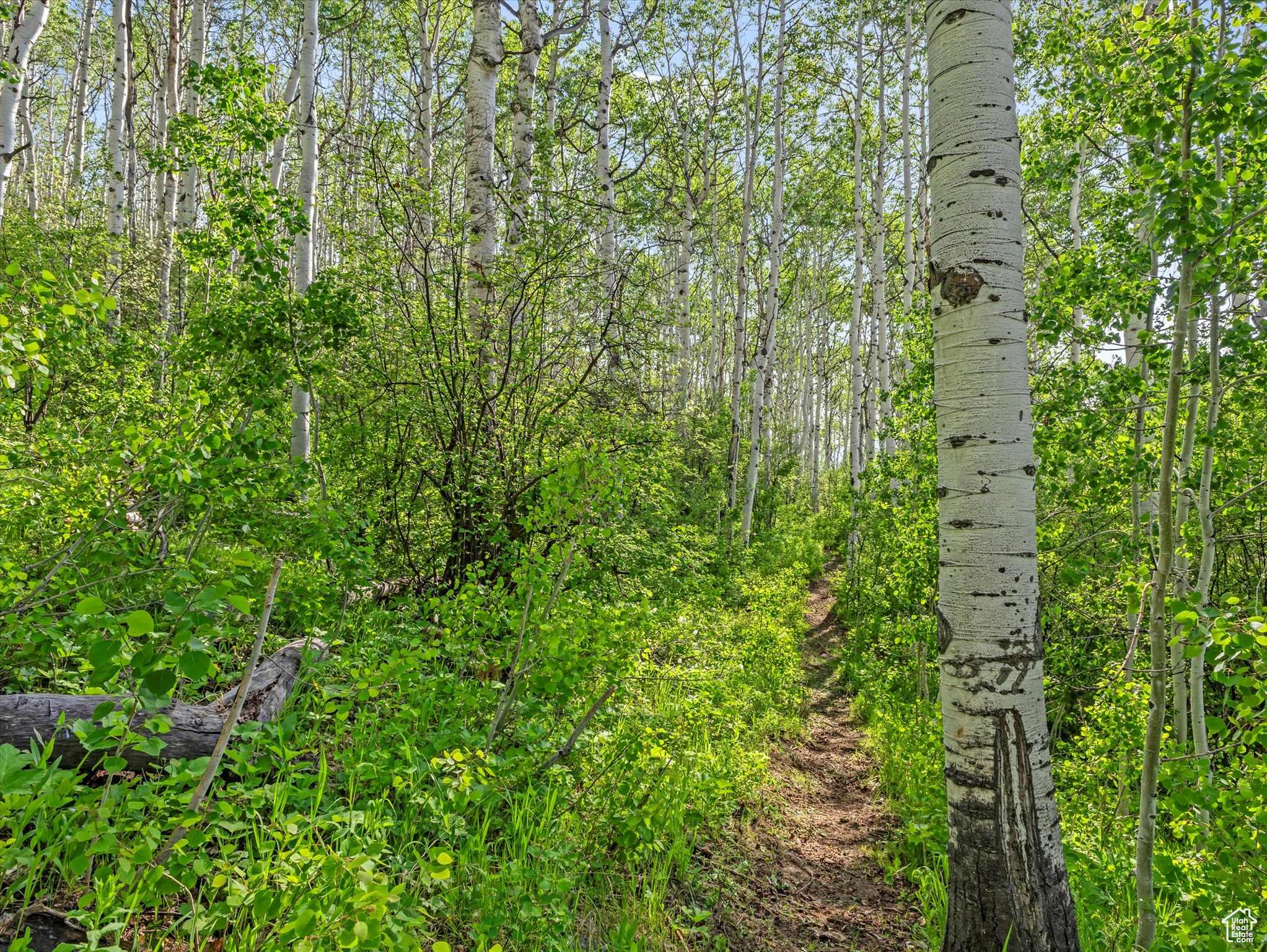 SOUTH FORK - Residential