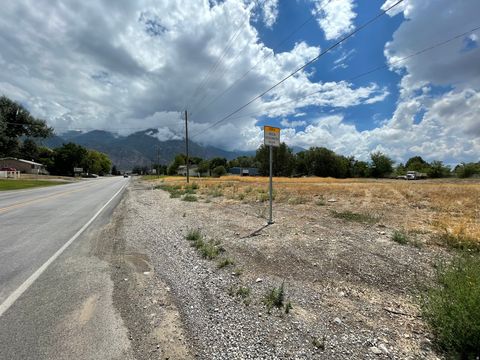 Tiny photo for 180 N MAIN #3, Mona, UT 84645 (MLS # 2156754)