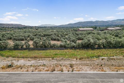 Tiny photo for 13702 S LOVERS LN, Riverton, UT 84065 (MLS # 2107560)