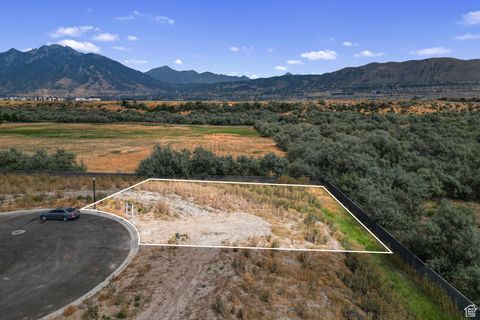 Tiny photo for 13702 S LOVERS LN, Riverton, UT 84065 (MLS # 2107560)