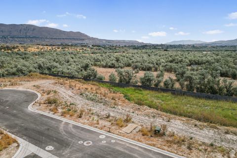 Tiny photo for 13702 S LOVERS LN, Riverton, UT 84065 (MLS # 2107560)