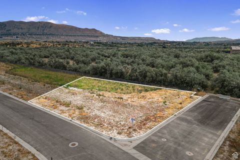 Tiny photo for 13702 S LOVERS LN, Riverton, UT 84065 (MLS # 2107560)