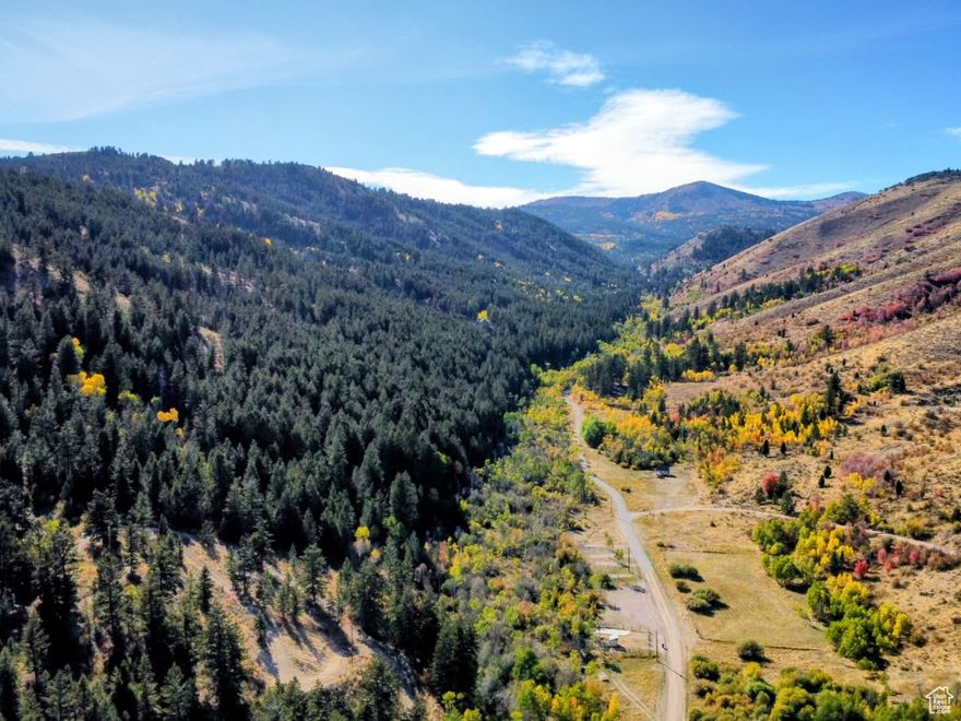 22.53 acres of hill and mountain property at the mouth of Skinner Canyon in Nounan Idaho. Power is available along Skinner Canyon road. National Forest is just a short drive up the canyon. Skinner Canyon Road has year round access. Lots of mature trees on the property with stunning views. Contact listing agent for more info and to schedule your showings. Lot does not border the county road, an access road will need to be installed