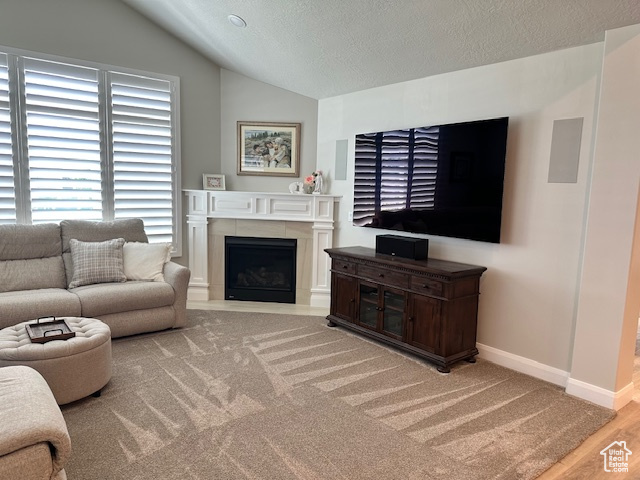 THE VILLAS AT LEGACY FARMS - Residential