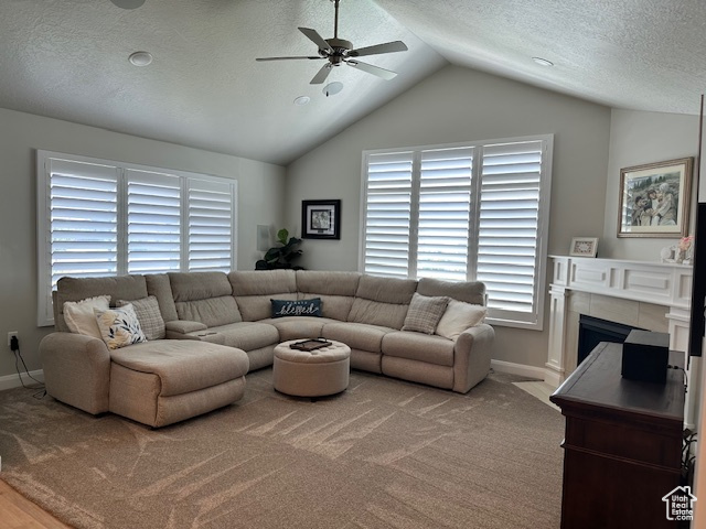 THE VILLAS AT LEGACY FARMS - Residential