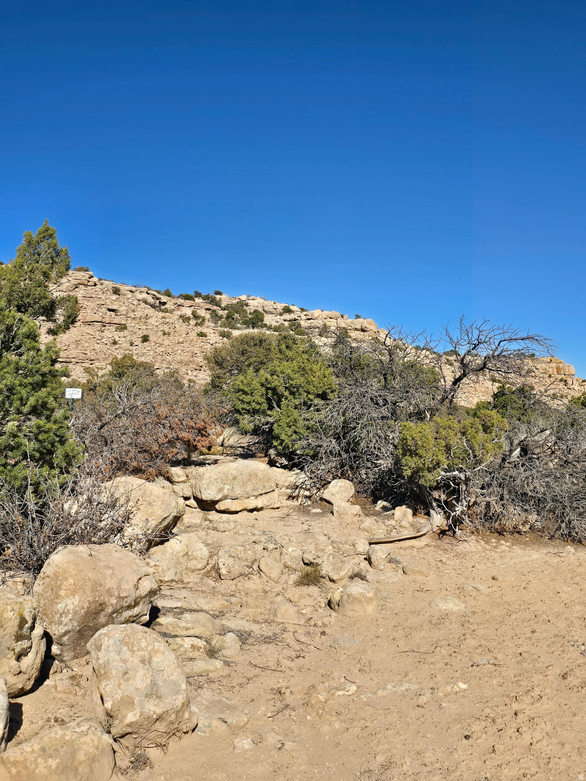 BUCKHORN MESA - Land