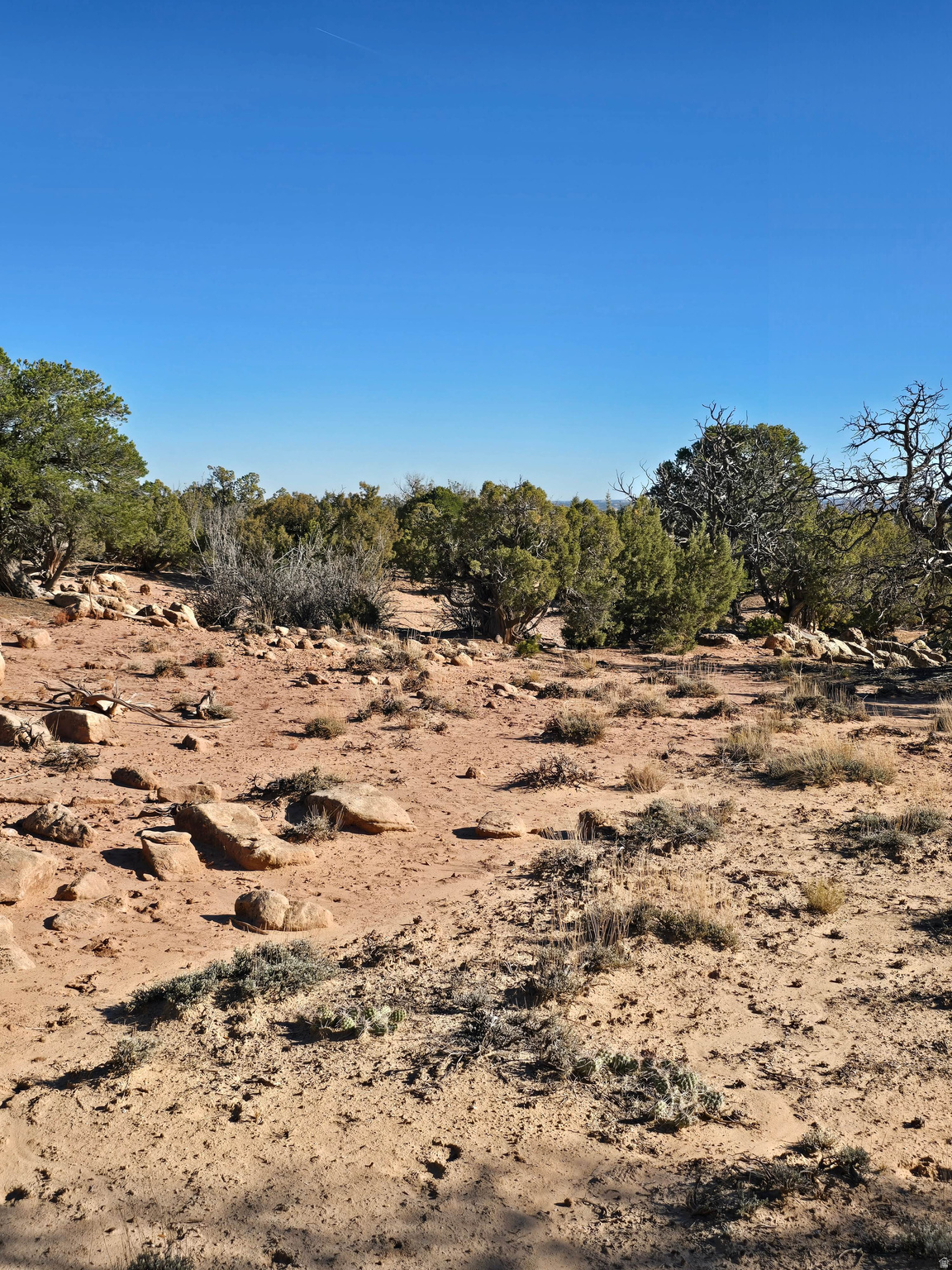 BUCKHORN MESA - Land