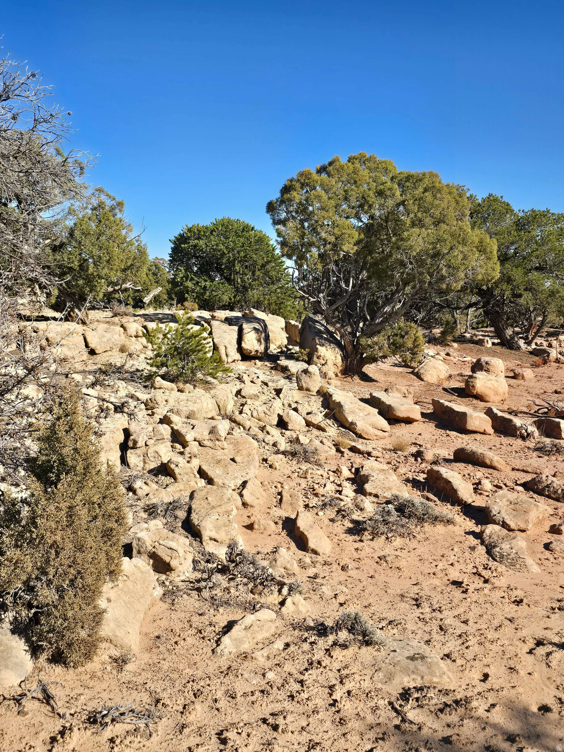 BUCKHORN MESA - Land