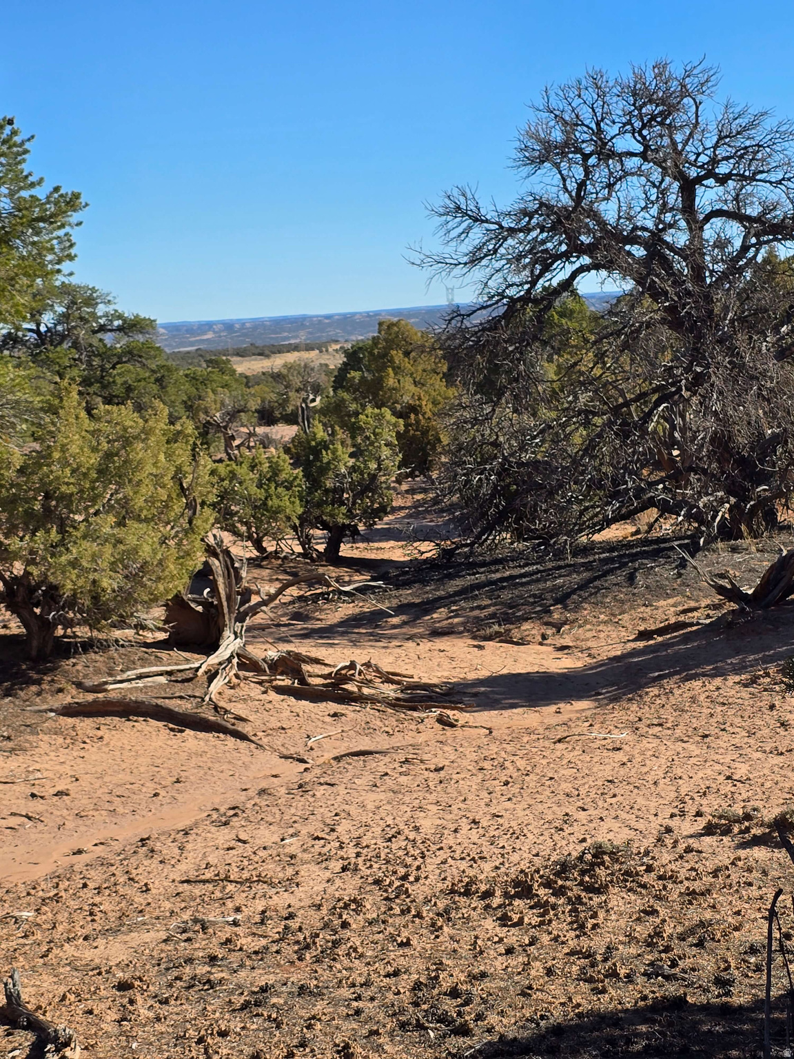 BUCKHORN MESA - Land