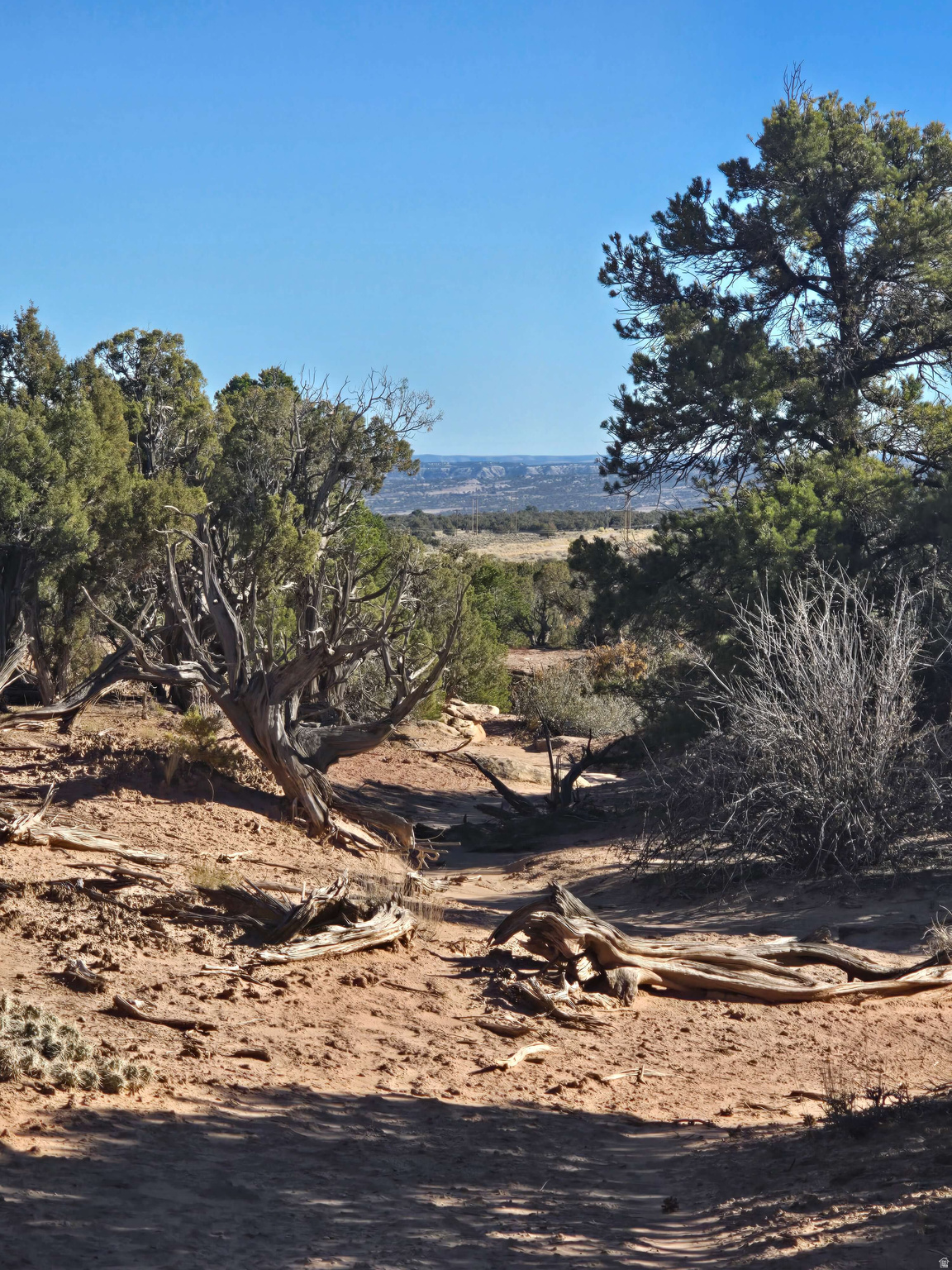 BUCKHORN MESA - Land