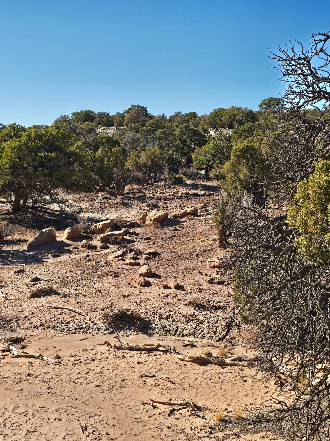 BUCKHORN MESA - Land