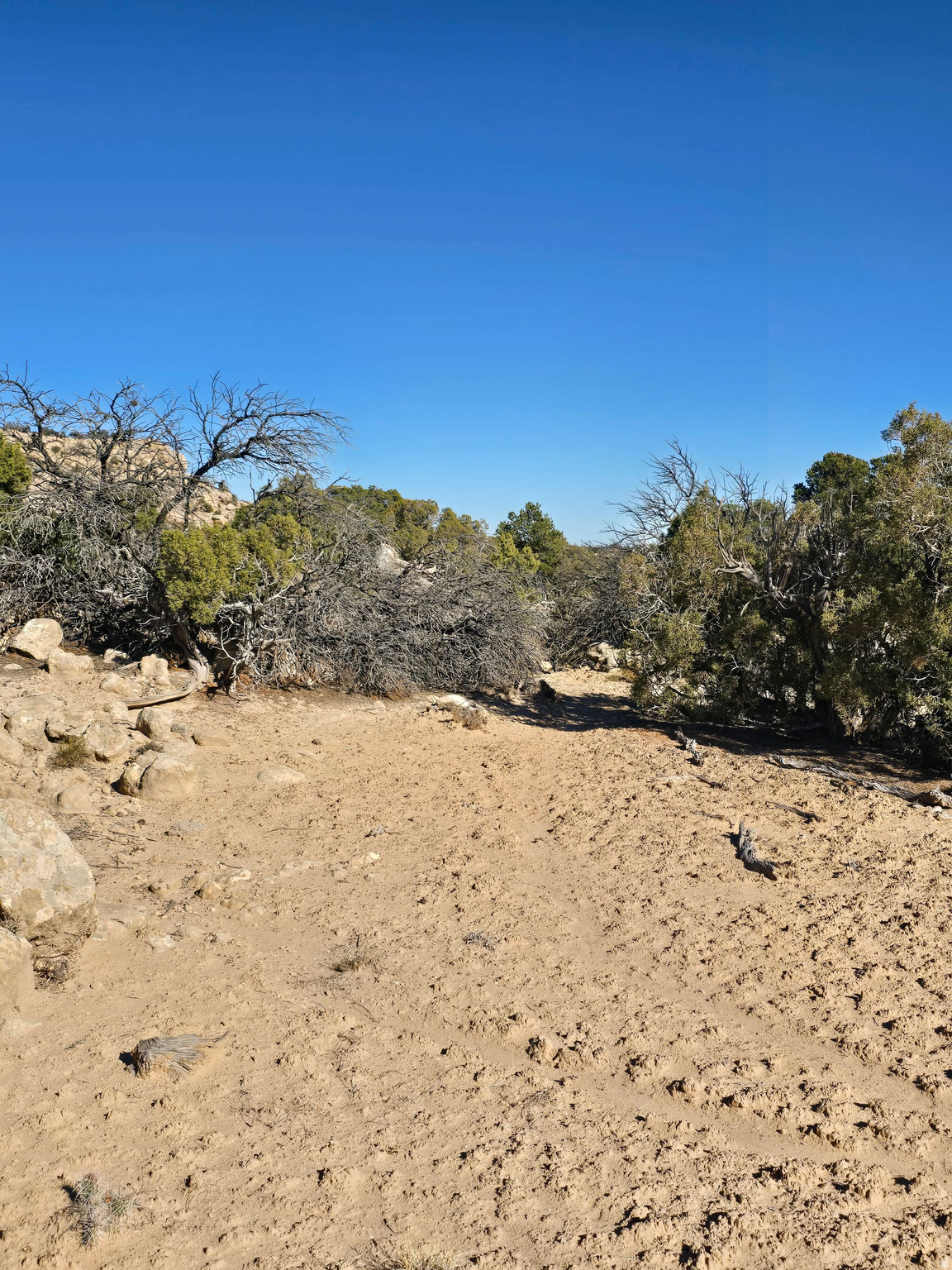 BUCKHORN MESA - Land