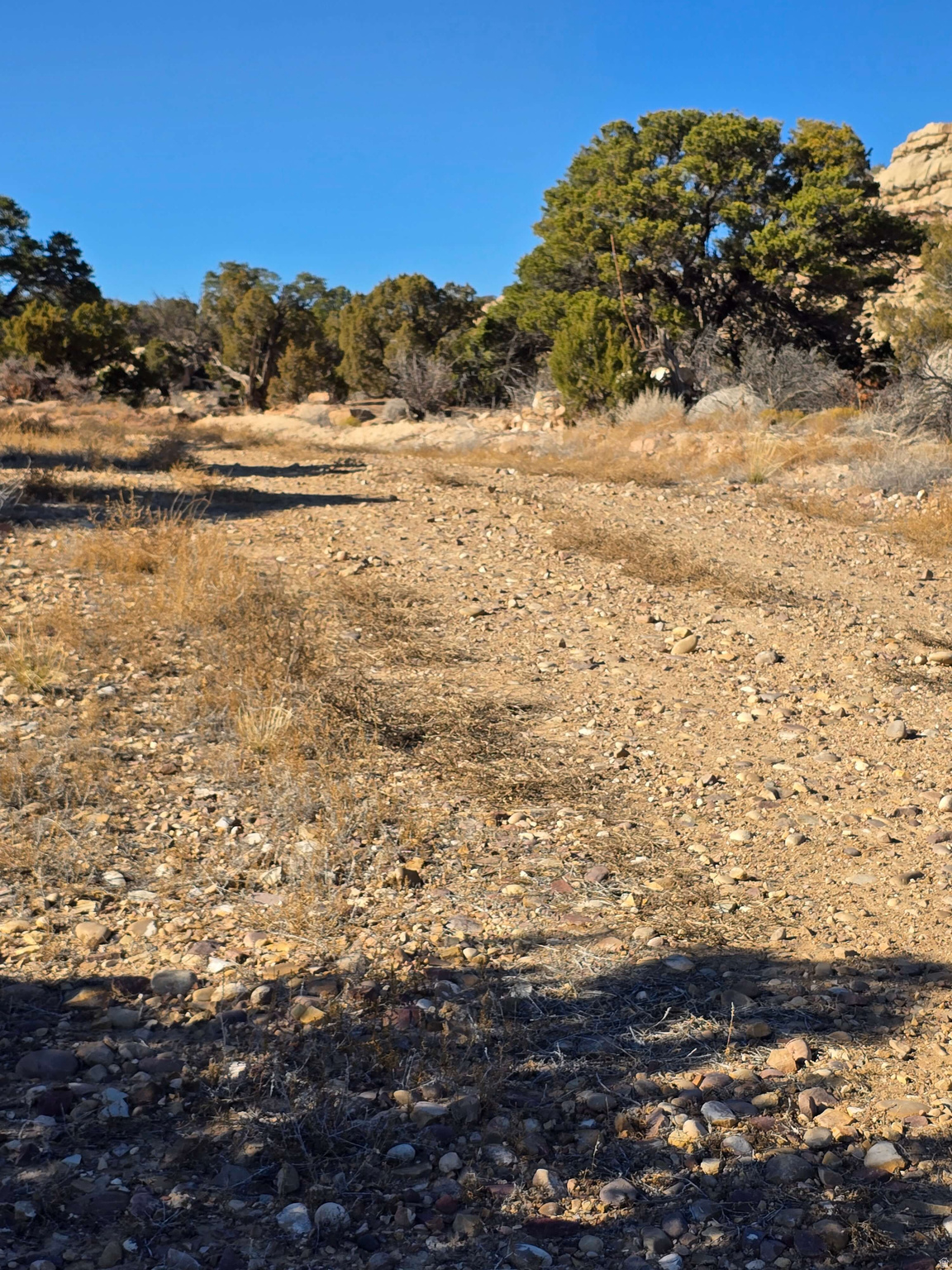 BUCKHORN MESA - Land