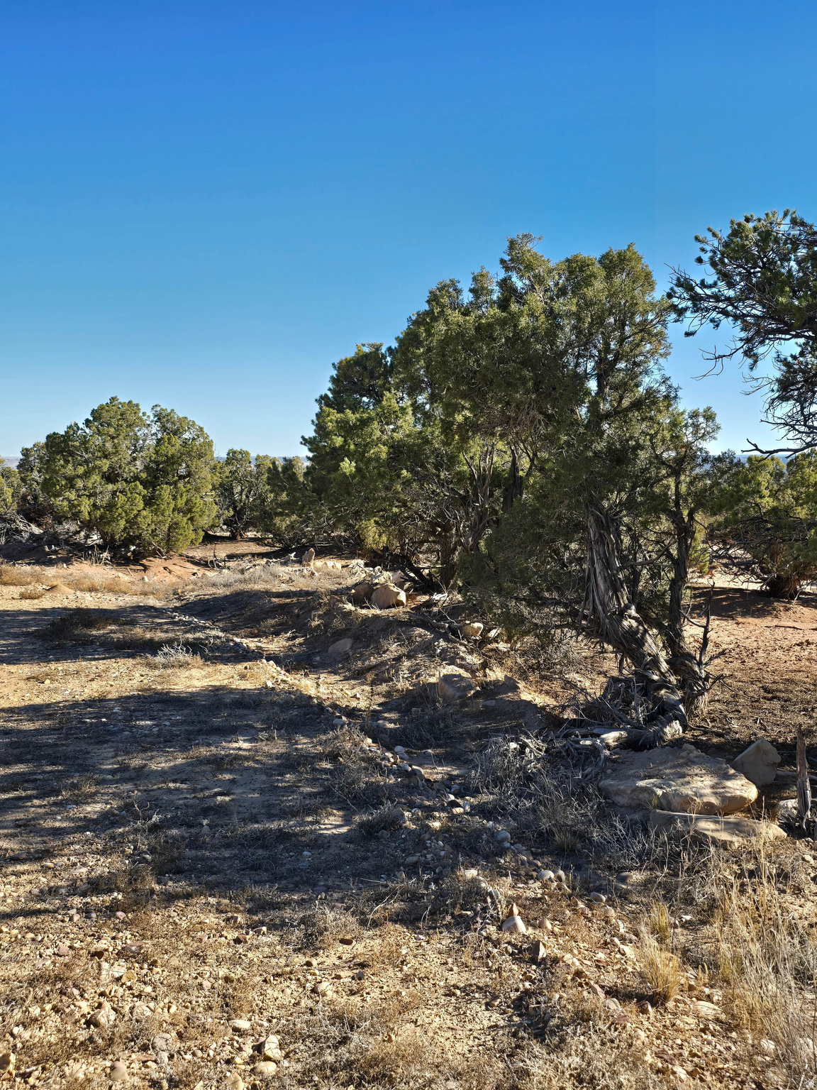 BUCKHORN MESA - Land