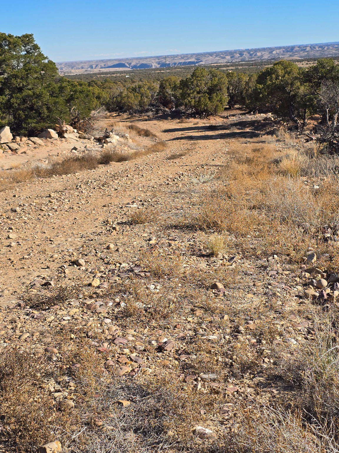 BUCKHORN MESA - Land