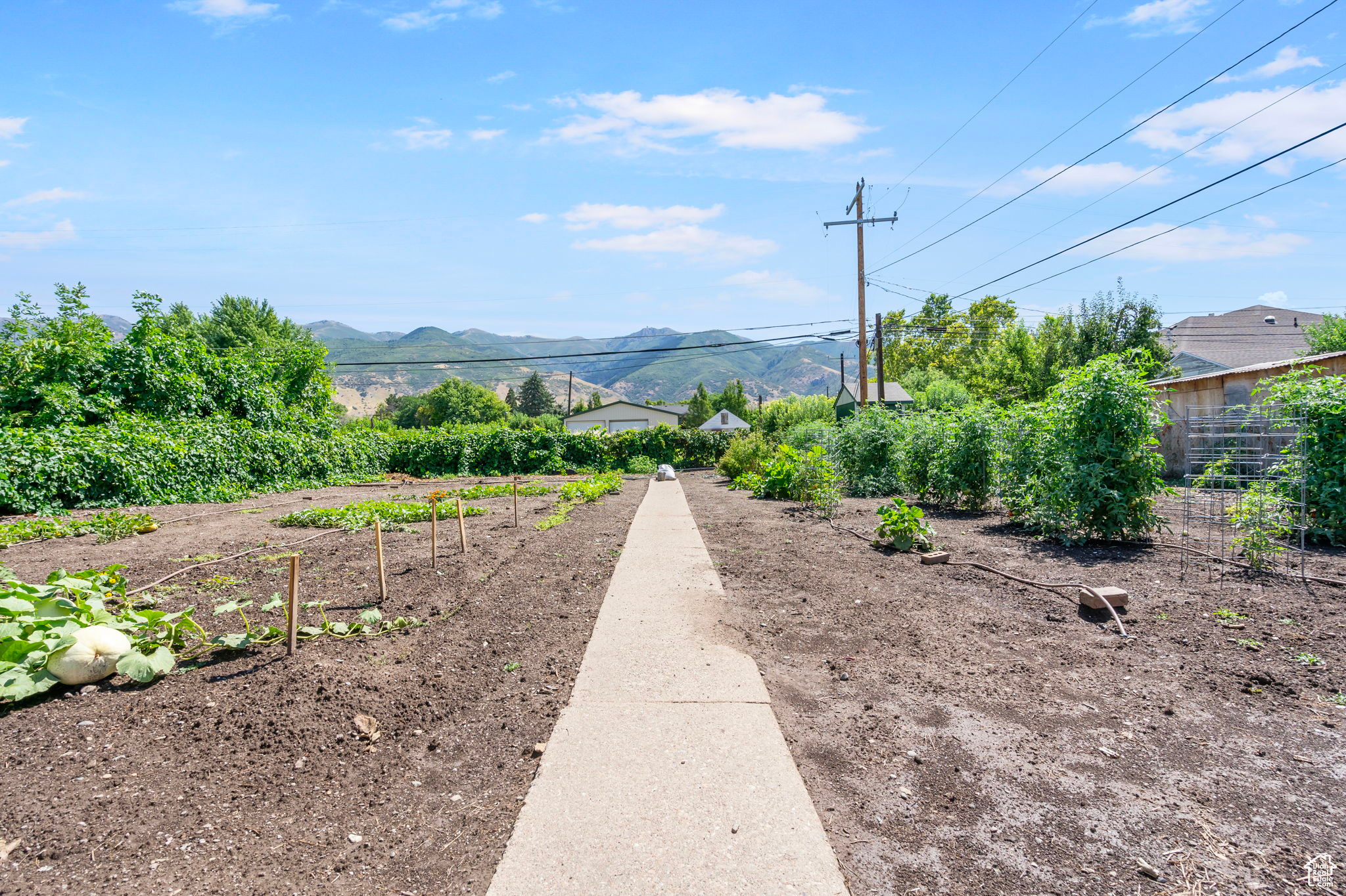 167 S 500, Kaysville, Utah image 24