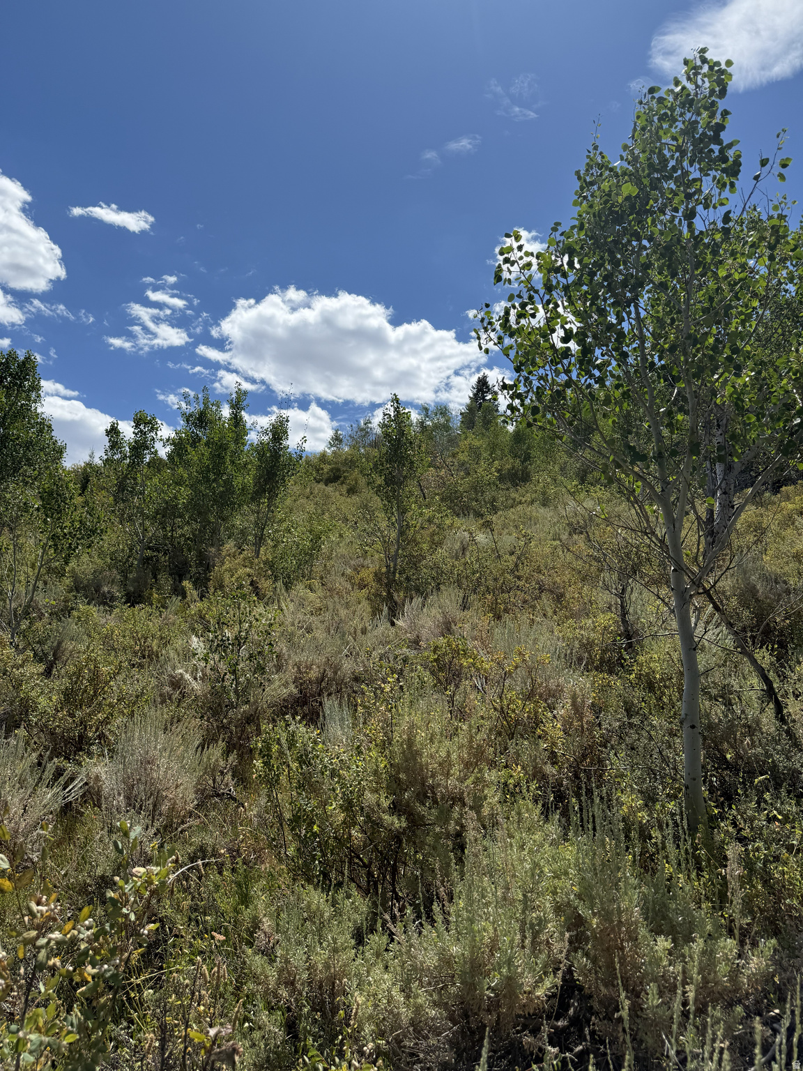 SWEETWATER PARK SUB - Land