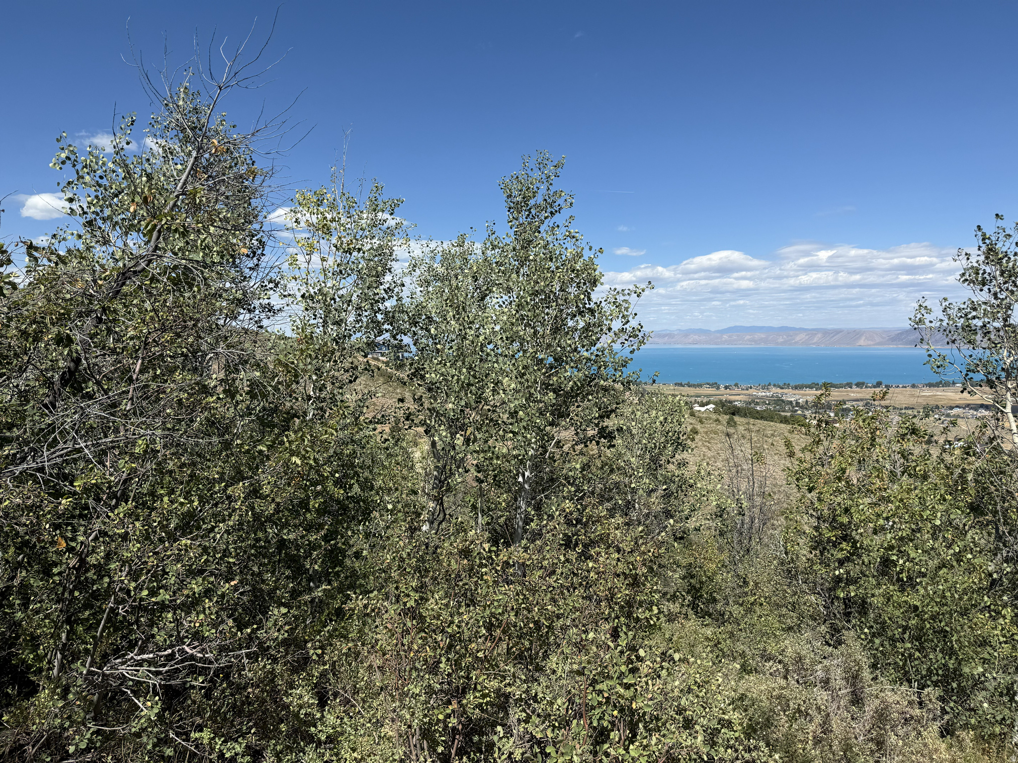 SWEETWATER PARK SUB - Land