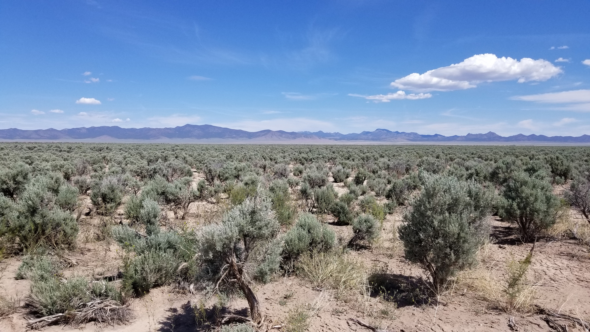 SERENE VALLEY RANCHOS - Land