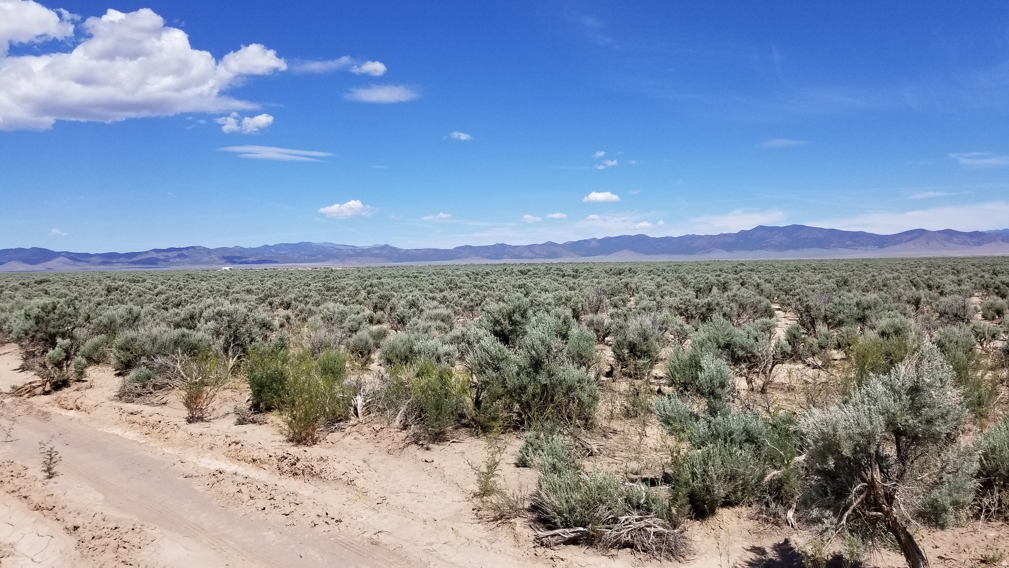 SERENE VALLEY RANCHOS - Land