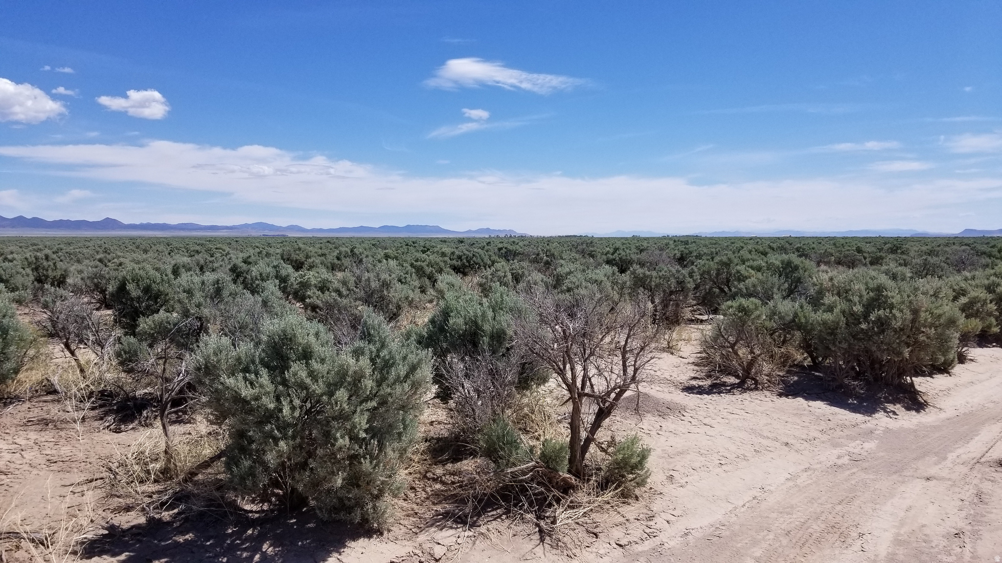 SERENE VALLEY RANCHOS - Land