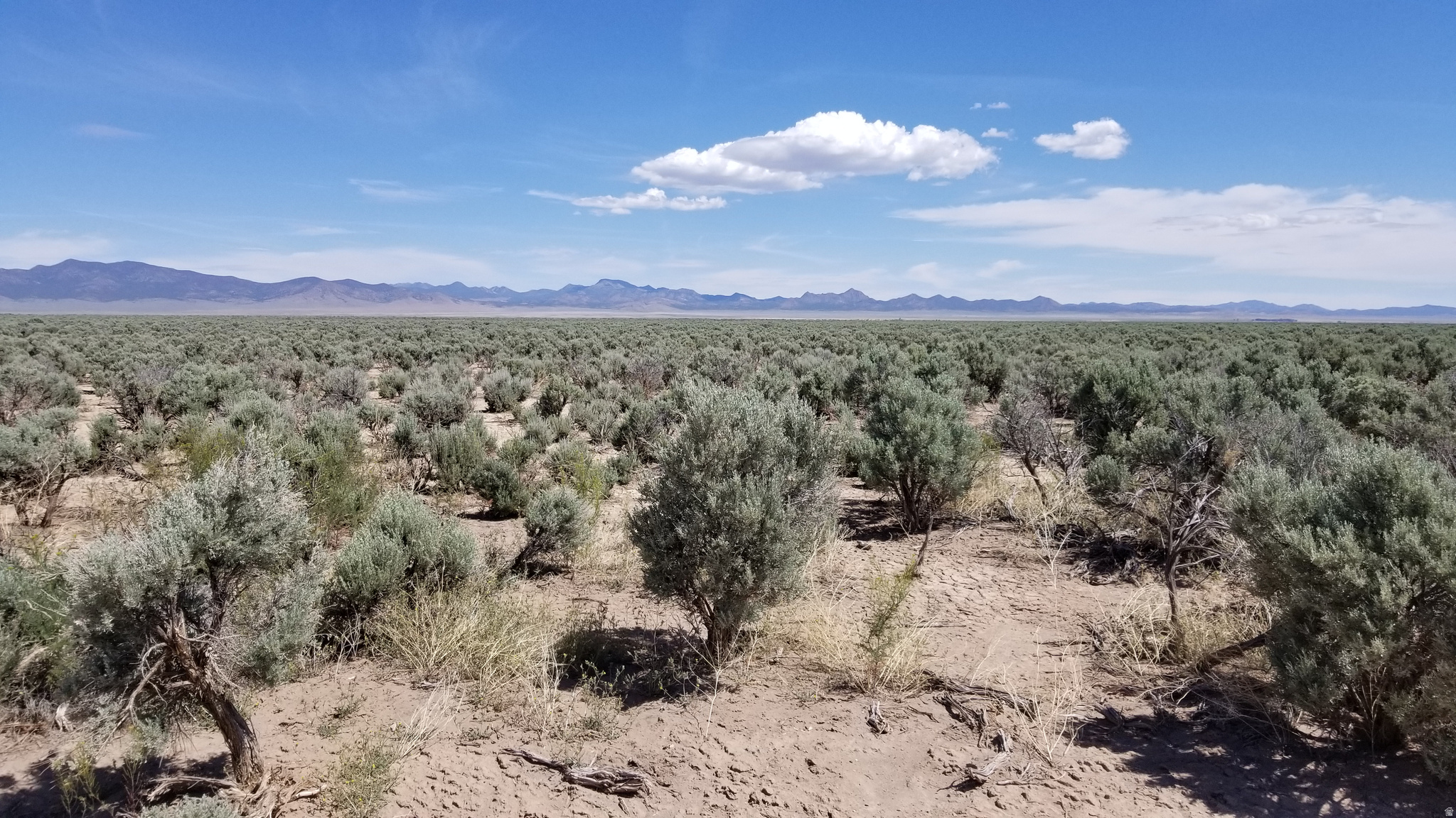 SERENE VALLEY RANCHOS - Land