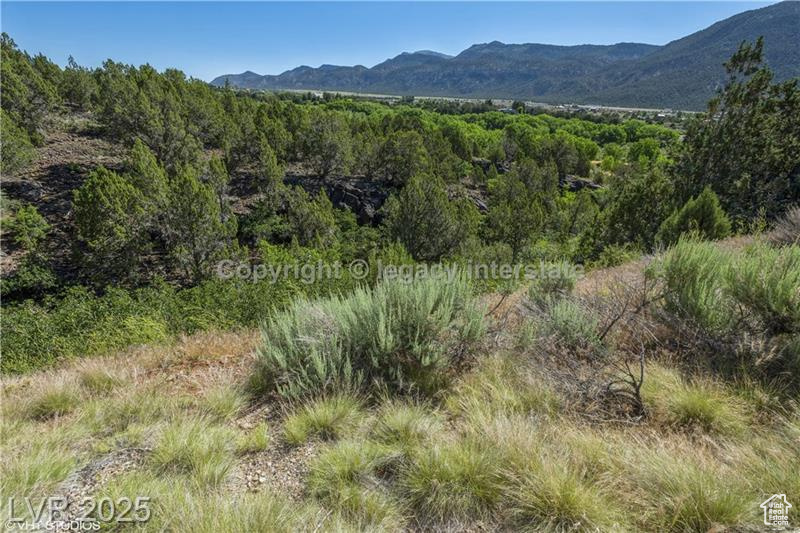2951 S Juniper Way #241, New Harmony, Utah image 9