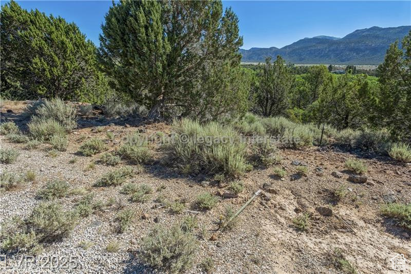 2951 S Juniper Way #241, New Harmony, Utah image 8