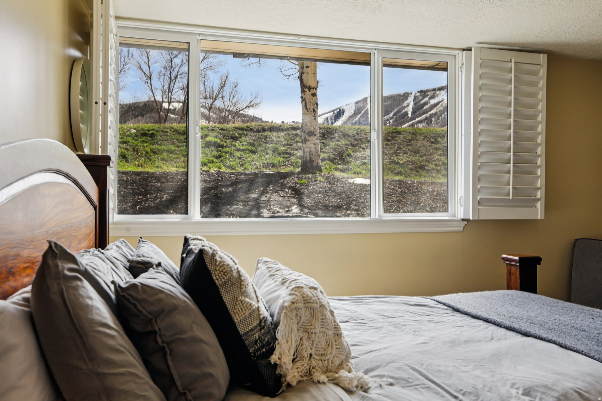 SNOW COUNTRY - Residential